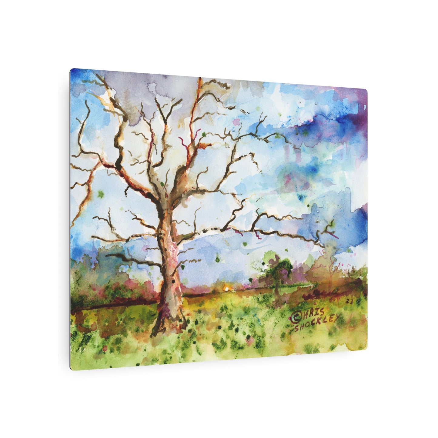 In the learning stands a boxer - Metal Art Print